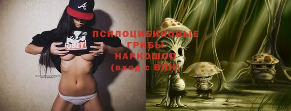 индика Бугульма