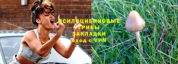 a pvp Бородино