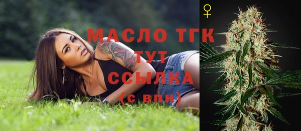 a pvp Бородино