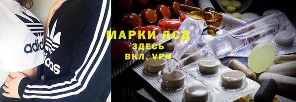 индика Бугульма